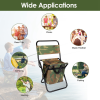 Foldable Fishing Chair