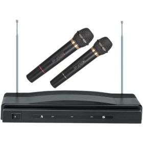DUAL WRLSS MIC SYS